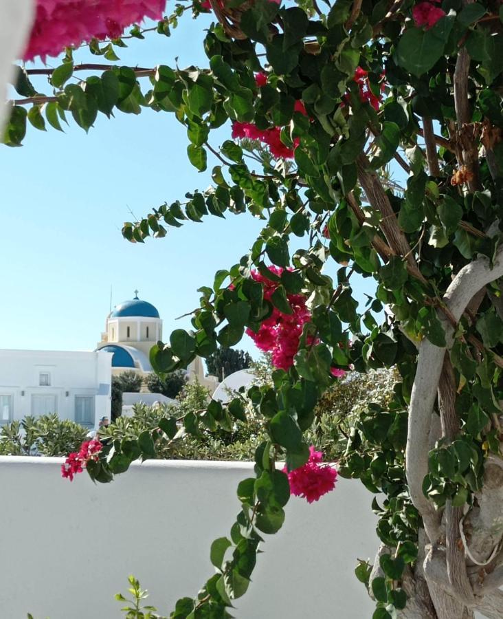 Sensia Luxury Studio With Hot Tub Oia  Extérieur photo